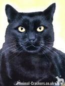 20cm metal vintage style Black Cat lover gift breed character hang sign plaque