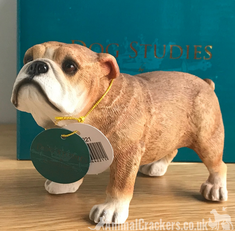 English Bulldog ornament figurine sculpture decoration Leonardo range gift boxed