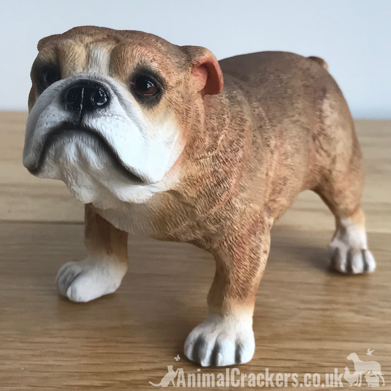 English Bulldog ornament figurine sculpture decoration Leonardo range gift boxed