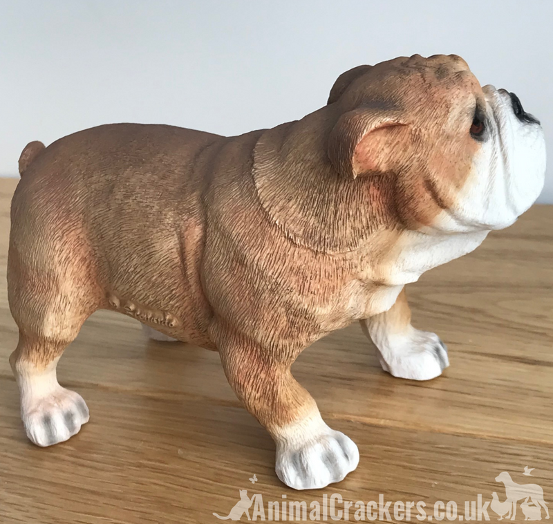 English Bulldog ornament figurine sculpture decoration Leonardo range gift boxed