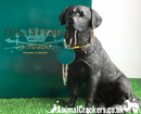 Black Labrador 18cm ornament figurine quality lifelike Leonardo range Gift boxed