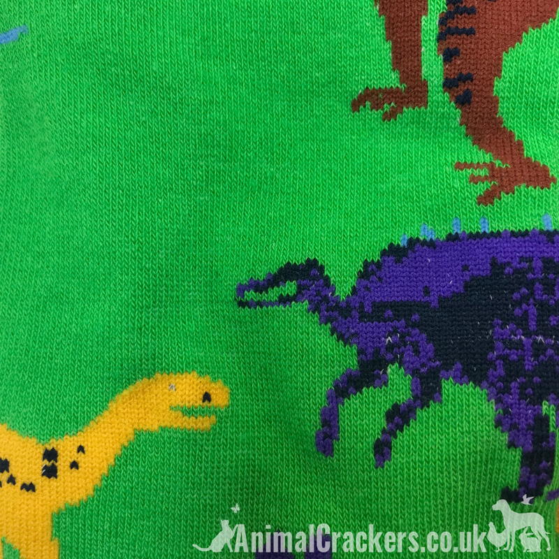 Novelty fun adults Dinosaur lover gift socks Unisex One Size stocking filler