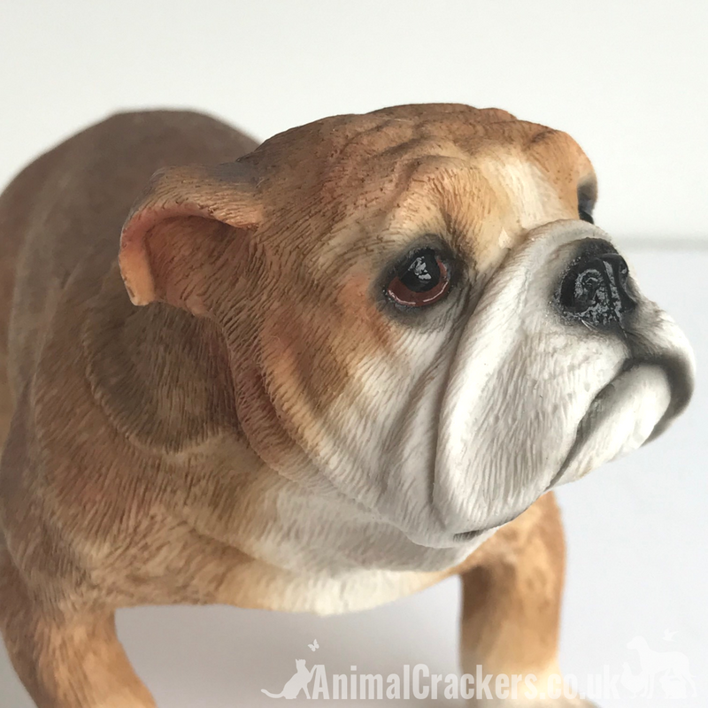 English Bulldog ornament figurine sculpture decoration Leonardo range gift boxed