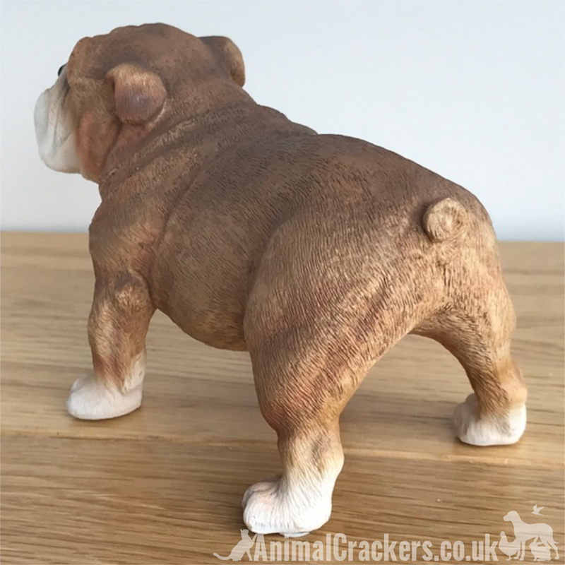 English Bulldog ornament figurine sculpture decoration Leonardo range gift boxed