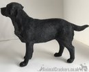Black Labrador ornament quality lifelike figurine from Leonardo range.Gift boxed