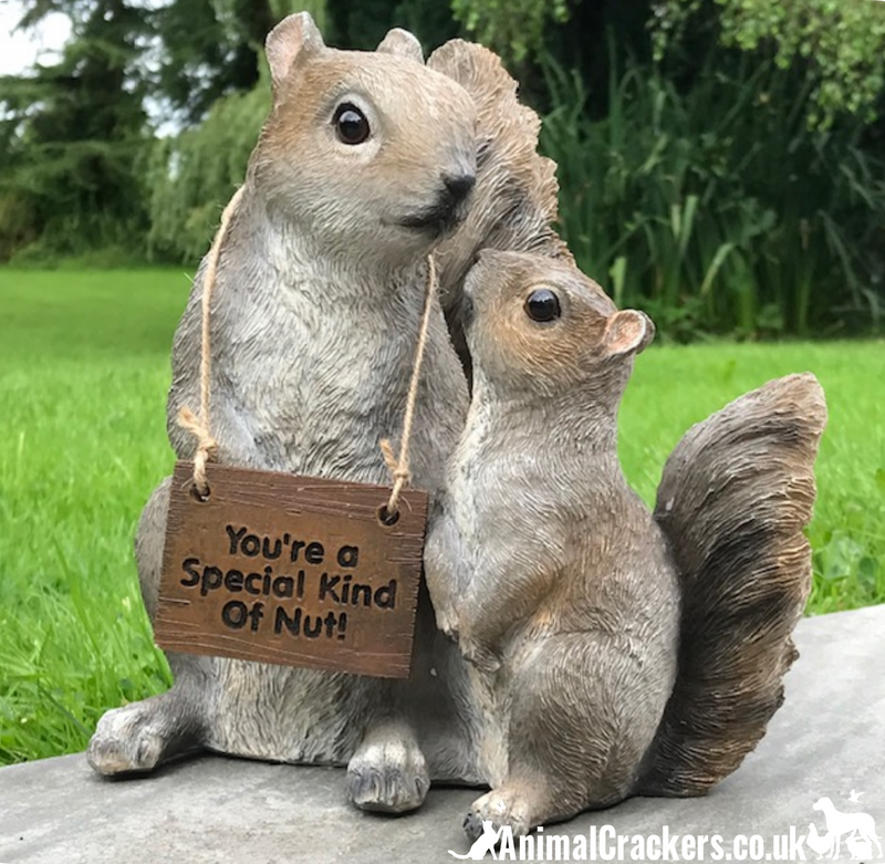 Cute Mother & Baby Squirrels with removable 'You're a Special Kind of Nut' sign, indoor or outdoor ornament, lovely Squirrel lover gift