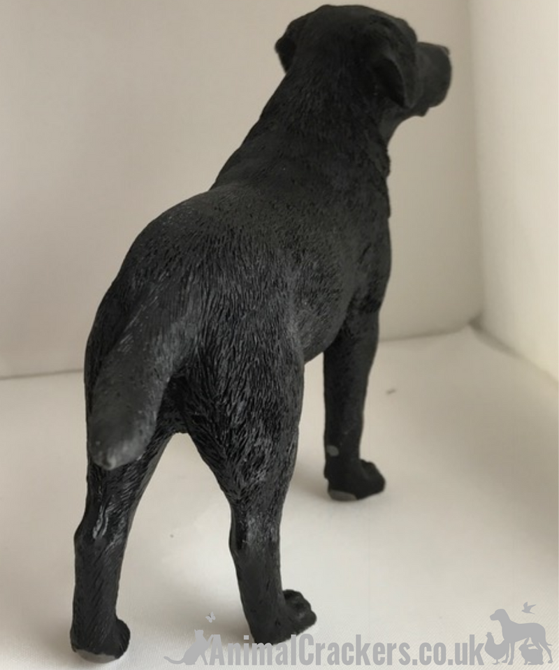 Black Labrador ornament quality lifelike figurine from Leonardo range.Gift boxed