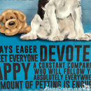 20cm metal Cavalier King Charles Spaniel lover gift breed character hanging sign