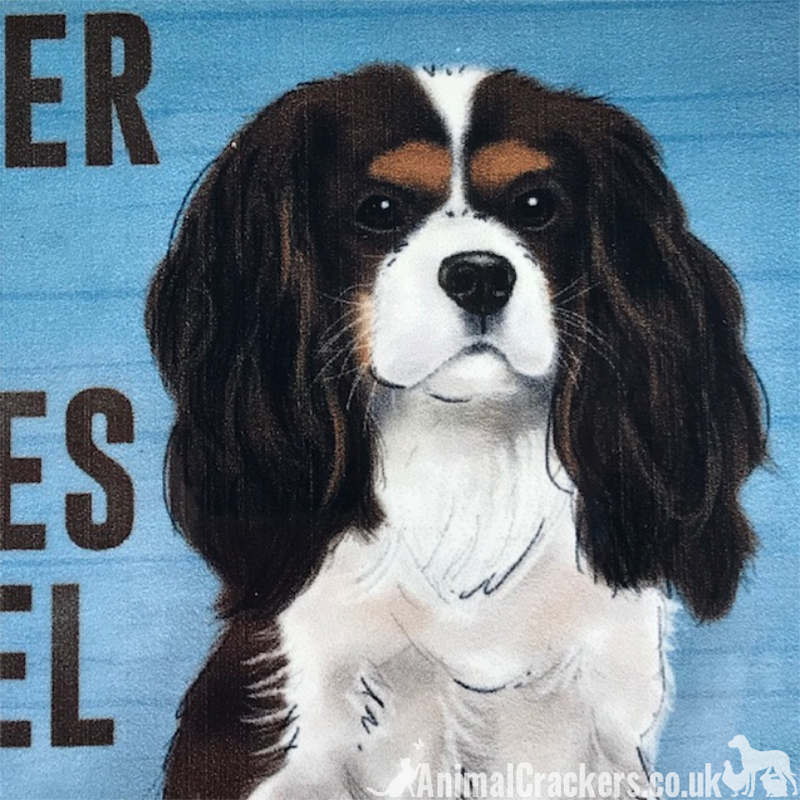 20cm metal Cavalier King Charles Spaniel lover gift breed character hanging sign