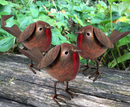 SET OF 4 quirky metal ROBIN garden ornament hand painted, indoor or outdoor decoration