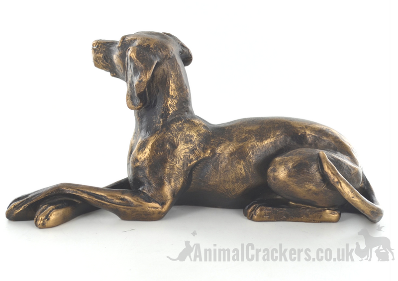 23cm Bronze effect laying Weimaraner ornament, figurine designed by Harriet Glen