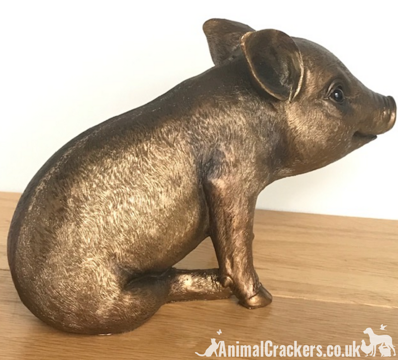 Large (24cm) quality Bronze effect Piggy Bank ornament or decoration, great Pig lover gift