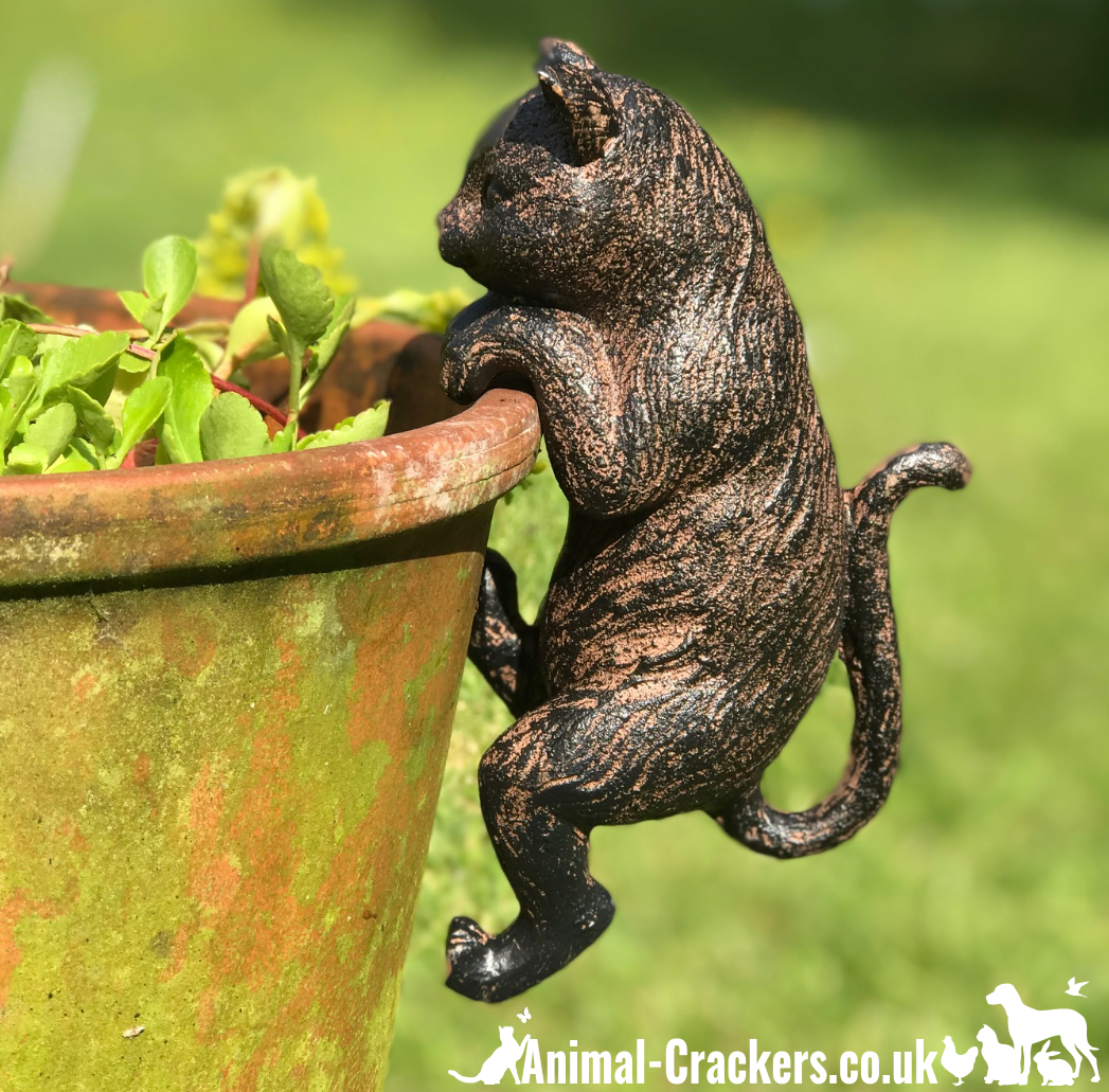 SET OF 2 Cat Flower Pot Hanger ornaments, indoor or outdoor, great Cat