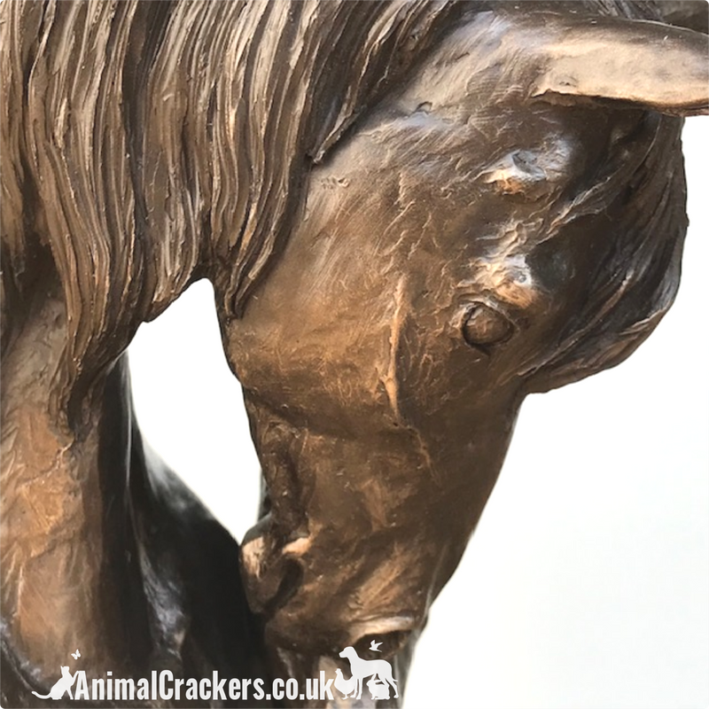 Cold cast bronze Mare & Foal Heads sculpture by David Geenty, fabulous Horse or Pony lover gift, a real statement piece