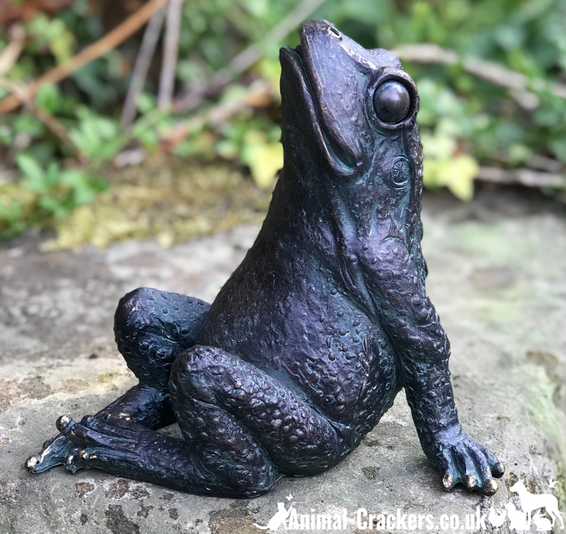 17cm Bronze effect Gazing Frog quirky garden pond decoration or frog lover gift