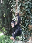40cm rope swinging Climbing Monkey garden ornament decoration chimp lover gift