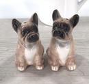 French Bulldog ceramic Salt & Pepper cruet set by Lesser & Pavey, boxed