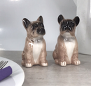 French Bulldog ceramic Salt & Pepper cruet set by Lesser & Pavey, boxed