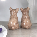 French Bulldog ceramic Salt & Pepper cruet set by Lesser & Pavey, boxed