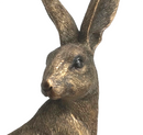 Leonardo Reflections Bronzed range large 22cm high bronze effect Sitting Hare ornament figurine, in quality gold gift box