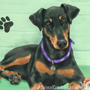 20cm metal vintage style Doberman Pinscher Dobie breed character sign plaque