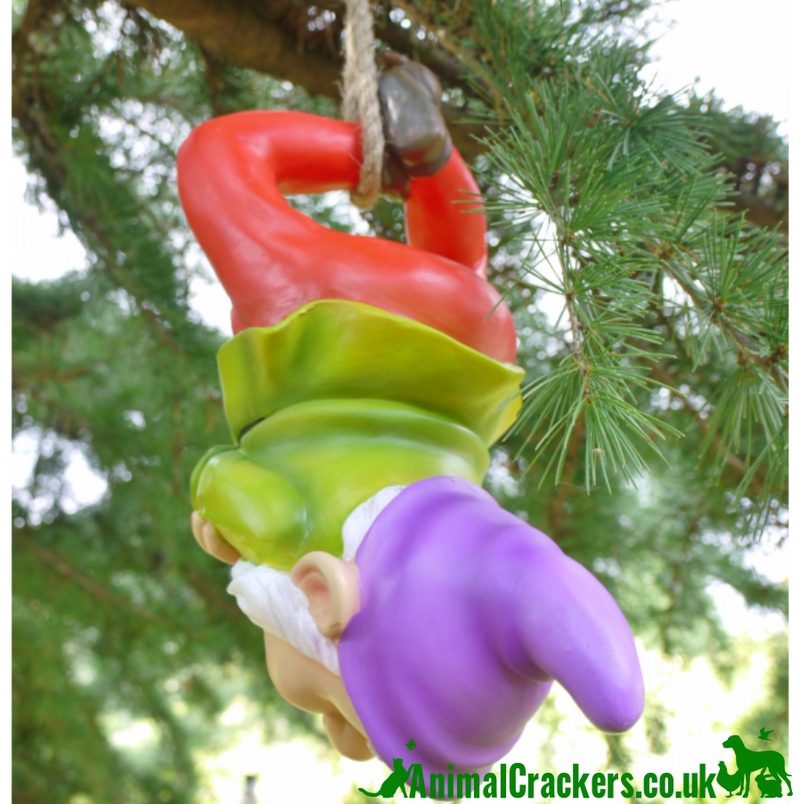 SET OF TWO large hanging Gnomes, novelty tree hanging garden decorations