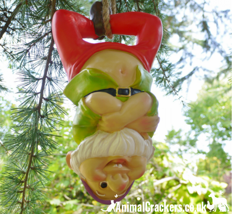 SET OF TWO large hanging Gnomes, novelty tree hanging garden decorations