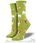 Women's Goat 'Silly Billy' design socks by Socksmith, one size, novelty Goat lover gift