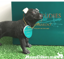 Black Staffordshire Bull Terrier 'Staffie' ornament from Leonardo, gift boxed