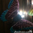 Large 39cm bright coloured metal solar powered light up Butterfly ornament wall art decoration