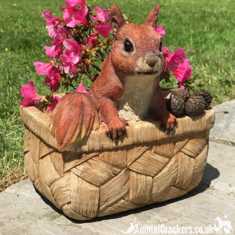 Cheeky Squirrel in Basket, resin garden planter or decoration, a great novelty Squirrel lover gift
