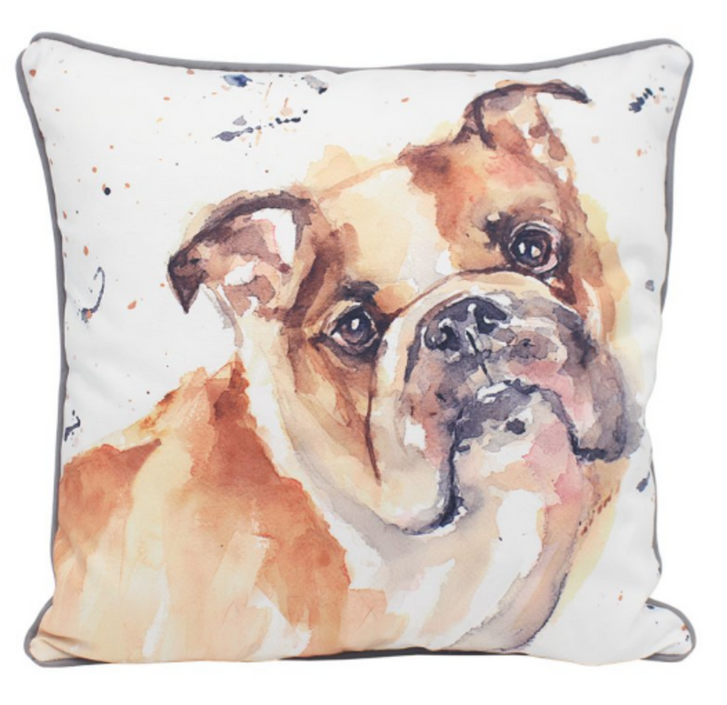 English Bulldog Cushion with inner, Leonardo Man's Best Friend range by Leonardo designed by Jennifer Rose