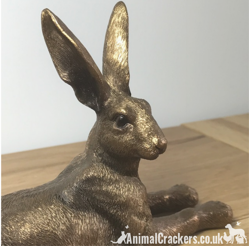 Leonardo Reflections Bronzed range Laying Hare ornament figurine, Gift boxed