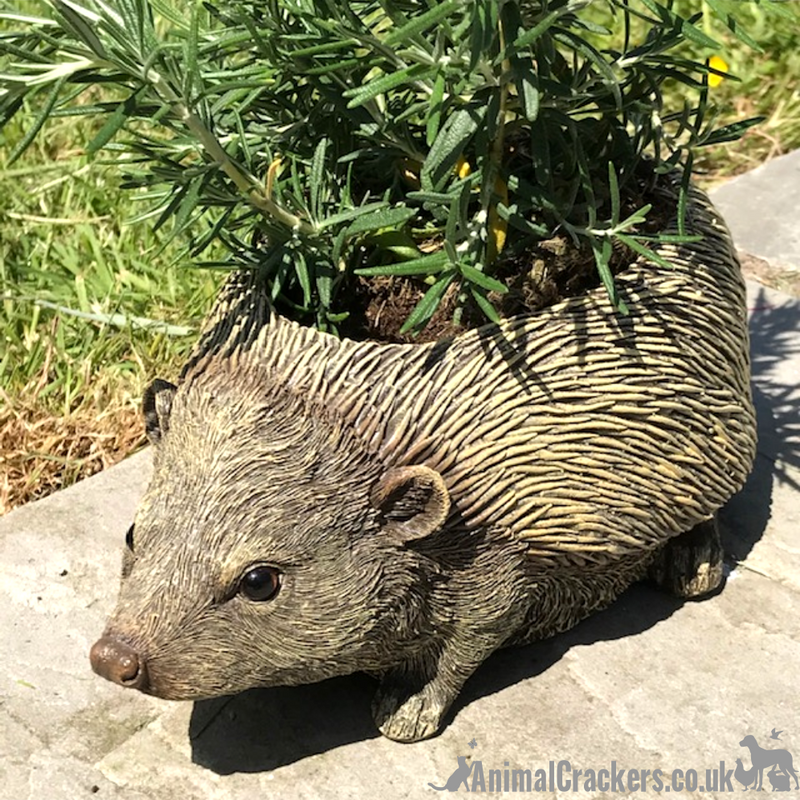 Hedgehog shaped Planter novelty house or garden decoration, quirky Hog lover gift