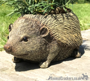 Hedgehog shaped Planter novelty house or garden decoration, quirky Hog lover gift