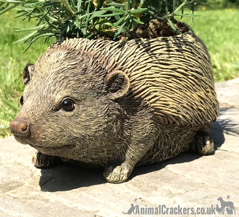 Hedgehog shaped Planter novelty house or garden decoration, quirky Hog lover gift