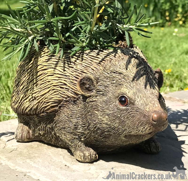 Hedgehog shaped Planter novelty house or garden decoration, quirky Hog lover gift