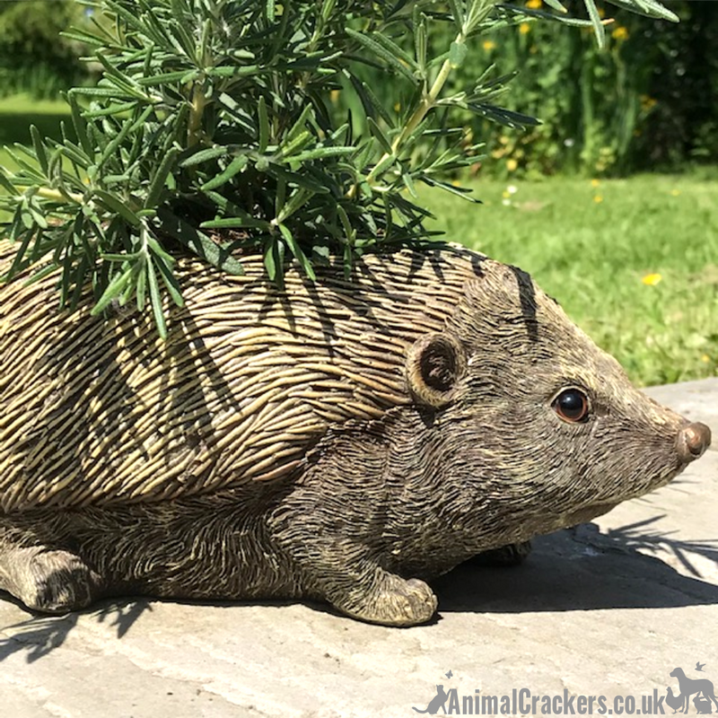 Hedgehog shaped Planter novelty house or garden decoration, quirky Hog lover gift