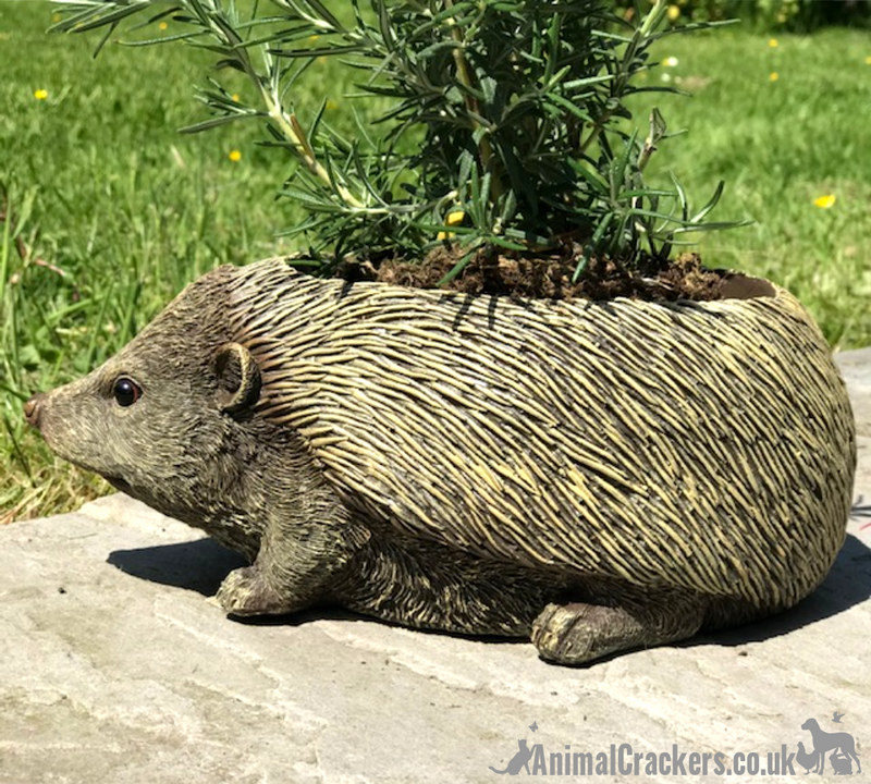 Hedgehog shaped Planter novelty house or garden decoration, quirky Hog lover gift