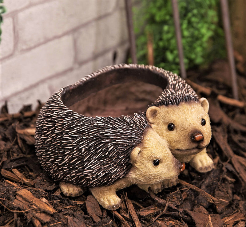 Two Hedgehogs shaped Planter novelty house, garden or patio decoration, quirky Hog lover gift