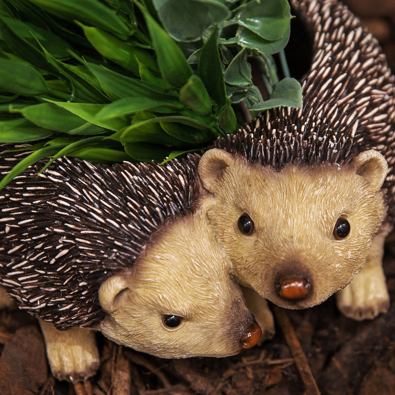 Two Hedgehogs shaped Planter novelty house, garden or patio decoration, quirky Hog lover gift