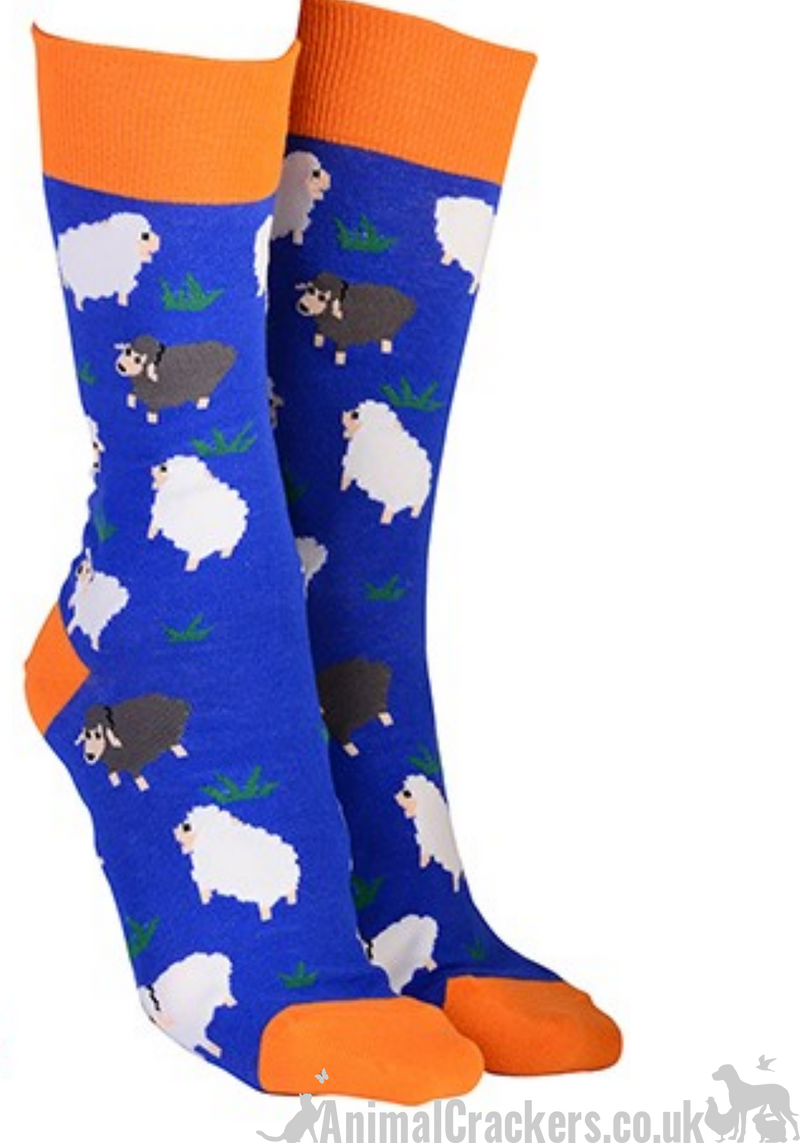 Novelty Sheep design socks from 'Sock Society' Men or Women, One Size, great Sheep lover gift stocking filler