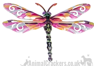 Dragonfly Set of 6 Pastel coloured metal 17cm Dragonflies wall art decorations