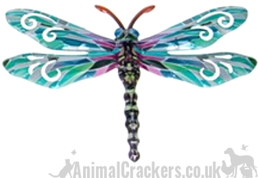 Dragonfly Set of 6 Pastel coloured metal 17cm Dragonflies wall art decorations