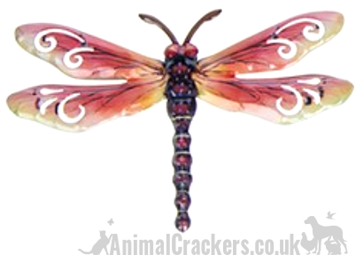 Dragonfly Set of 6 Pastel coloured metal 17cm Dragonflies wall art decorations