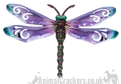 Dragonfly Set of 6 Pastel coloured metal 17cm Dragonflies wall art decorations