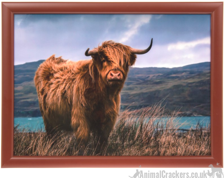 Leonardo 'Highland Cow' padded Lap Tray bean bag Cushion, Cattle lover gift, matching items available