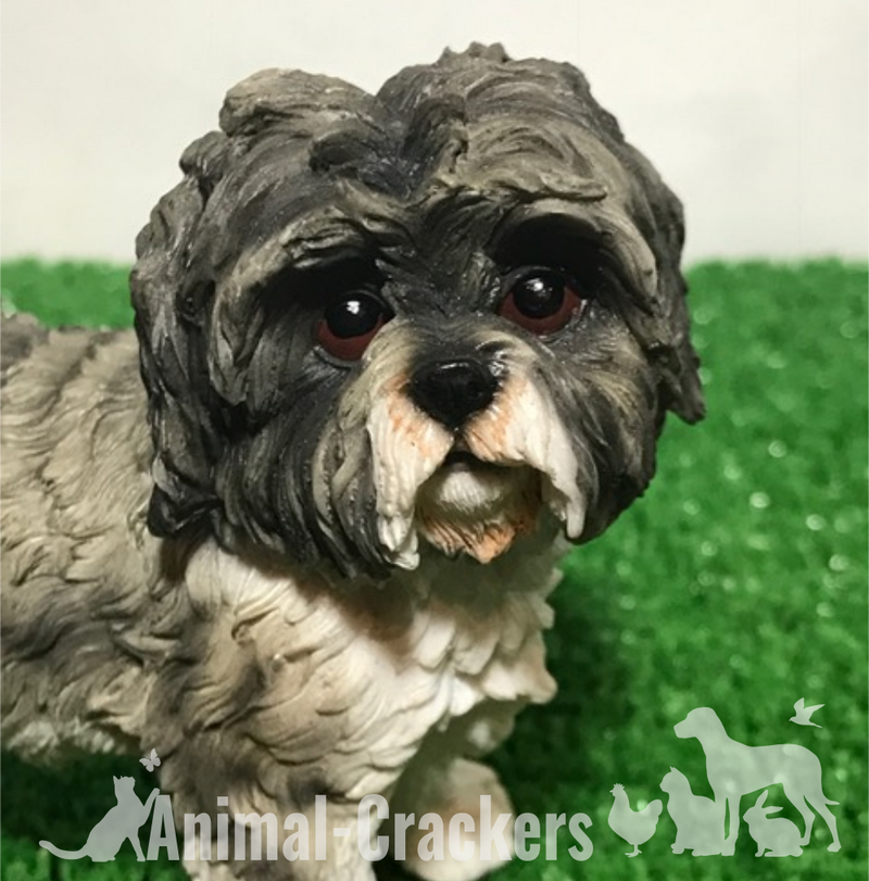 Grey Shih Tzu ornament figurine quality realistic Leonardo range. Gift boxed.